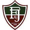 Fluminense SC U20 logo