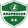 Arapongas EC U20 logo