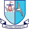 Salthill Devon FC logo