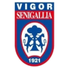 Vigor Senigallia logo