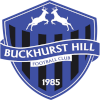 Buckhurst Hill logo