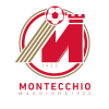 Montecchio Maggiore logo