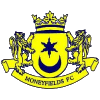 Moneyfields (W) logo