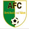 Nove Mesto logo