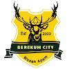 Berekum City logo