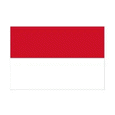 Indonesia (W) U17 logo