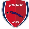 Jaguar PE U20 logo