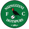 Nsingizini Hotspurs logo