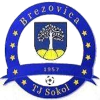 Brezovica logo
