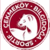 Cekmekoy (W) logo
