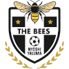 The Bees FC logo