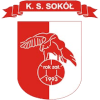 Sokol Bozepole Wielkie logo