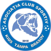 ACS Kids Tampa Brasov (W) logo