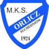 Orlicz Suchedniow logo