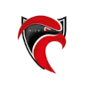 Nice Cavigal U19 logo