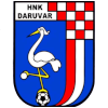HNK Daruvar logo