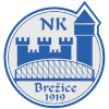 NK Brezice U19 logo