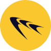 FC Chalonnais logo