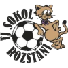 Tj Sokol Rozstani logo