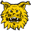 FC Ilves U21 logo