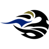 EDO ALL United logo