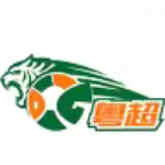 Dongguan Team logo