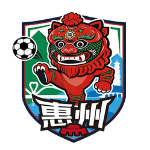 Huizhou Team logo