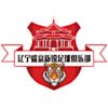 Liaoning Shengjing Xinrui logo