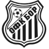 Bor 1919 logo