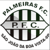 Palmeiras FC U20 logo