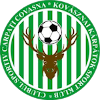 CS Carpati Covasna logo