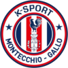 ASD K-Sport Montecchio logo