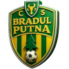 Bradul Putna logo