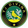 Divina logo