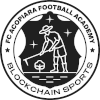 FC Acopiara logo