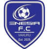 Enesia FC logo