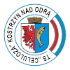 Celuloza Kostrzyn logo
