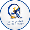 Qamishli logo